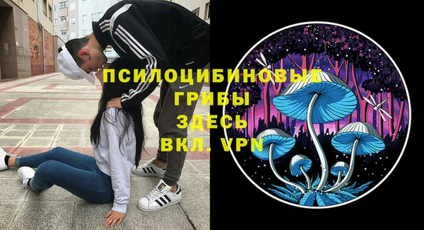 синтетический гашиш Верхний Тагил