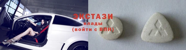 гидра Коряжма