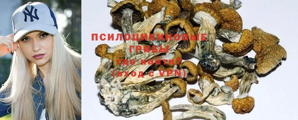 синтетический гашиш Верхний Тагил