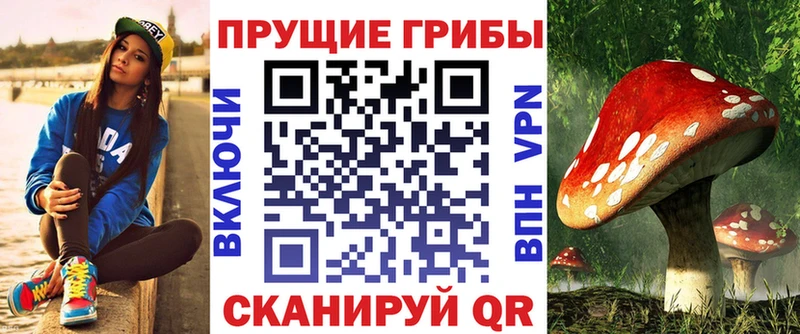 Псилоцибиновые грибы ЛСД  купить наркотики сайты  Лысьва 